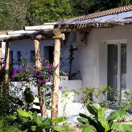 Bv Kalafiorita 4* Zambrone