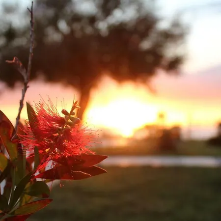 Bv Kalafiorita Hotel