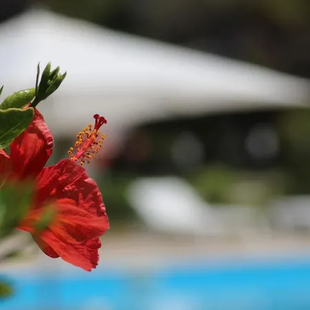 Hotel Bv Kalafiorita