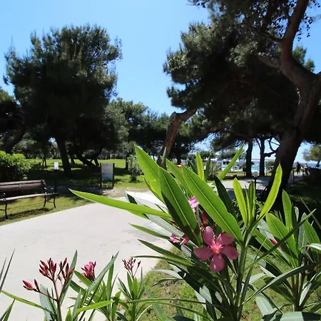 Bv Kalafiorita Hotel