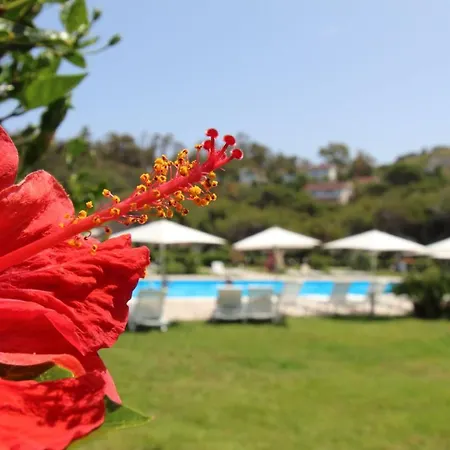 Hotel Bv Kalafiorita Zambrone