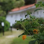 Hotel Bv Kalafiorita