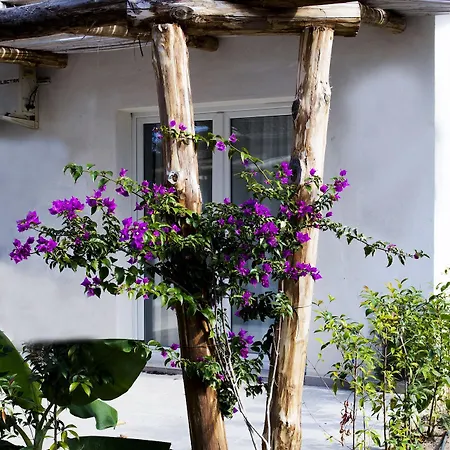 Bv Kalafiorita Hotel 4*