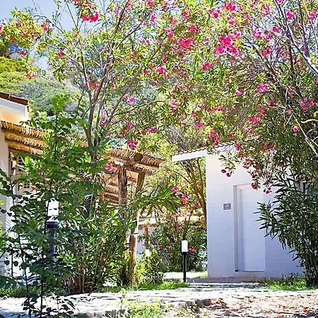Bv Kalafiorita Hotel