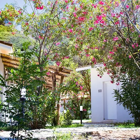 Bv Kalafiorita Hotel