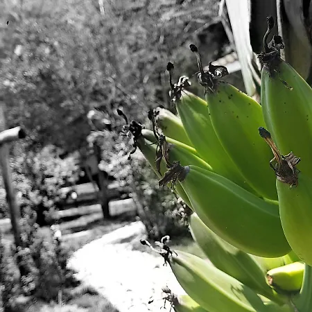 Hotel Bv Kalafiorita