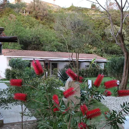 Bv Kalafiorita 4* Zambrone