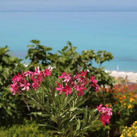 Bv Kalafiorita Zambrone