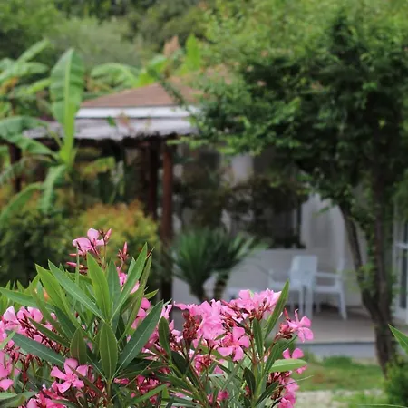 Hotel Bv Kalafiorita 4*