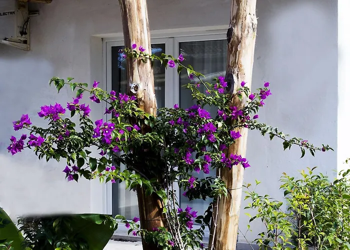 Bv Kalafiorita Hotel 4*