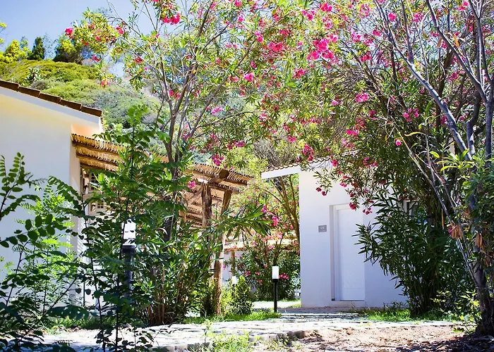 Bv Kalafiorita Hotel