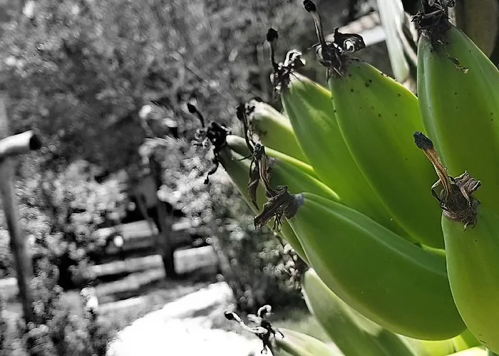 Hotel Bv Kalafiorita