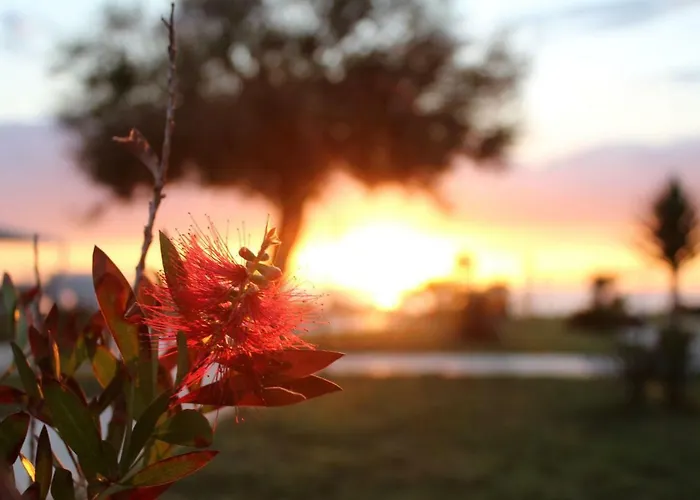 Bv Kalafiorita Hotel