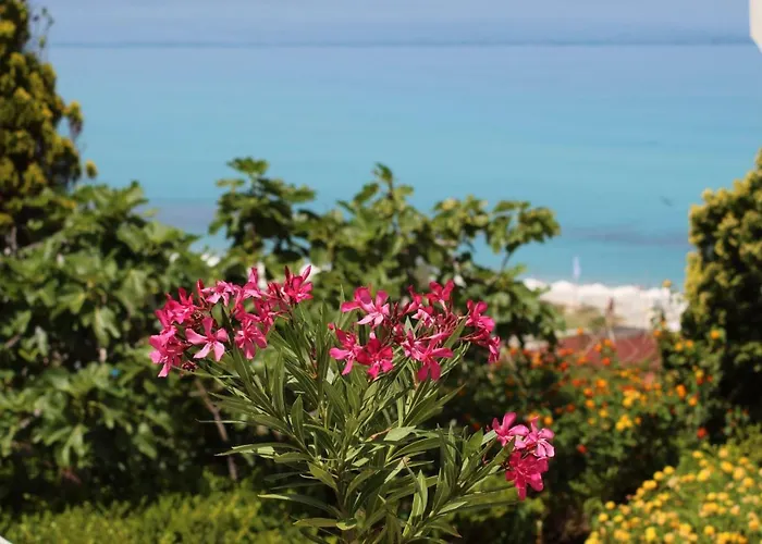 Bv Kalafiorita Zambrone