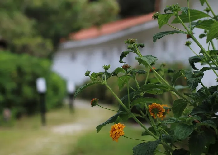 Hotel Bv Kalafiorita