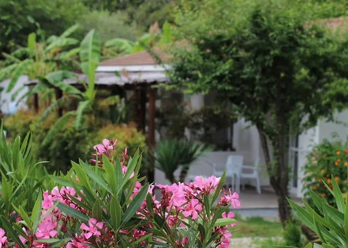 Hotel Bv Kalafiorita 4*