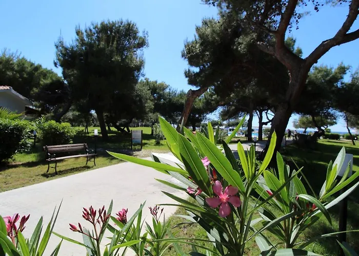 Bv Kalafiorita Hotel