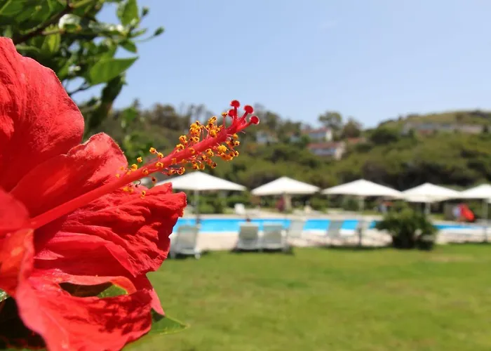 Hotel Bv Kalafiorita Zambrone